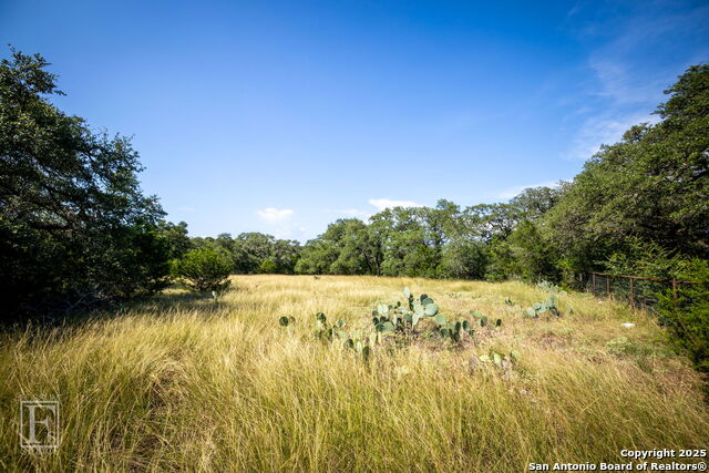 5716 Copper Forest, New Braunfels, Texas image 11