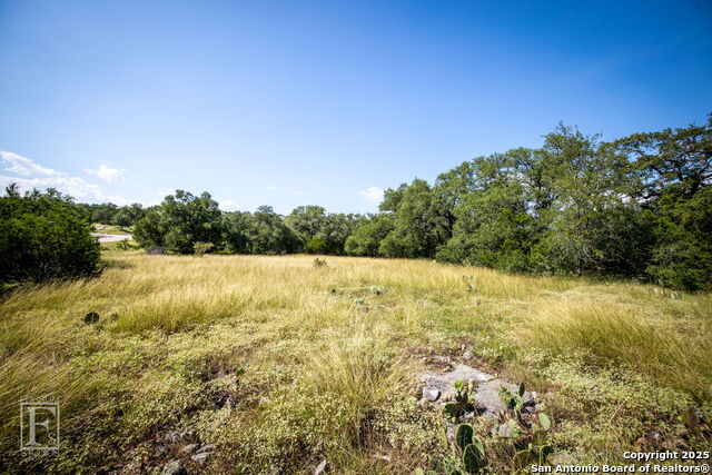 5716 Copper Forest, New Braunfels, Texas image 12
