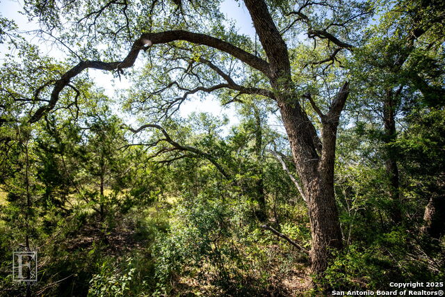 5716 Copper Forest, New Braunfels, Texas image 15