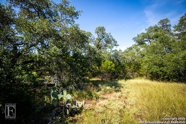 5716 Copper Forest, New Braunfels, Texas image 16