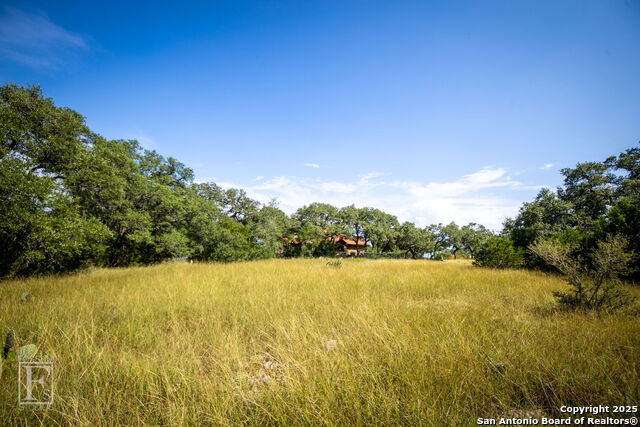 5716 Copper Forest, New Braunfels, Texas image 17