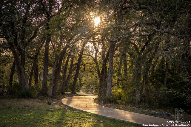5716 Copper Forest, New Braunfels, Texas image 27