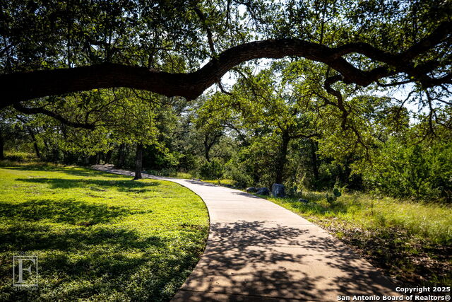 5716 Copper Forest, New Braunfels, Texas image 28