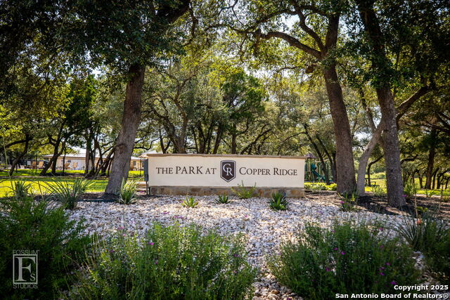 5716 Copper Forest, New Braunfels, Texas image 29
