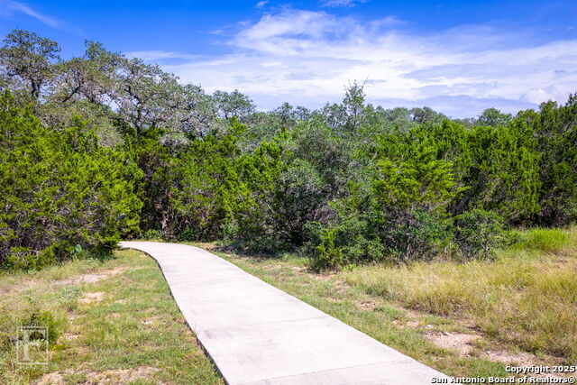 5716 Copper Forest, New Braunfels, Texas image 35