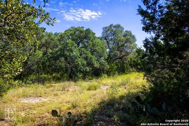 5716 Copper Forest, New Braunfels, Texas image 39
