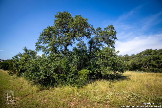 5716 Copper Forest, New Braunfels, Texas image 9