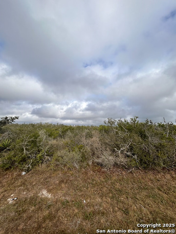 TBD Hackberry Dr, Beeville, Texas image 10