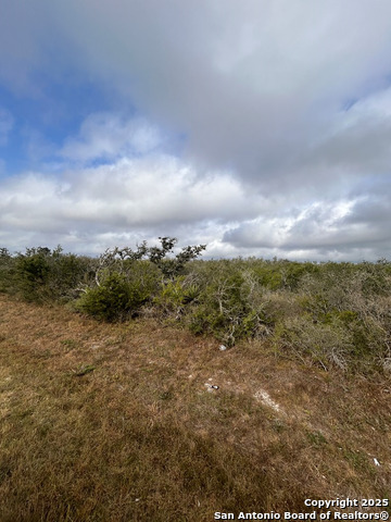 TBD Hackberry Dr, Beeville, Texas image 11