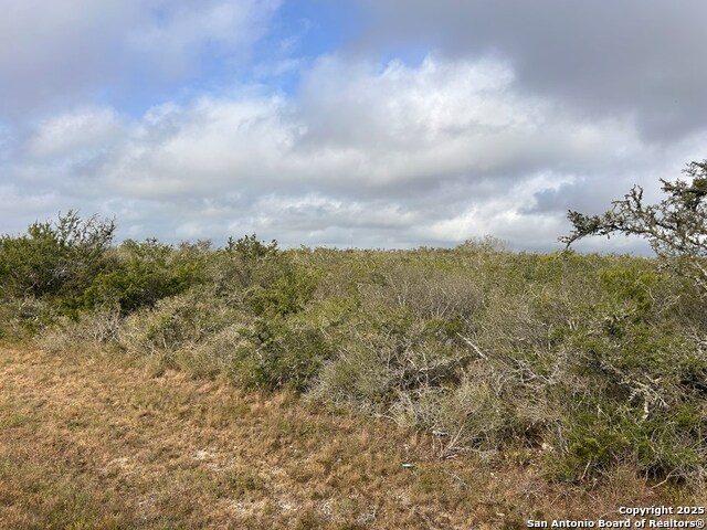 TBD Hackberry Dr, Beeville, Texas image 12