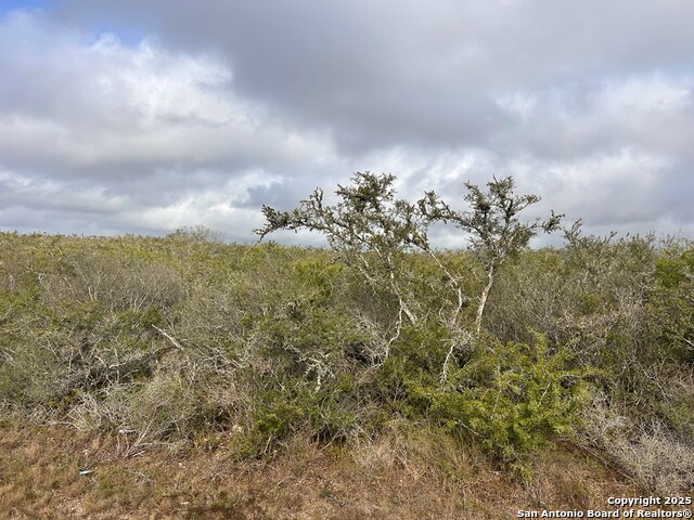TBD Hackberry Dr, Beeville, Texas image 13