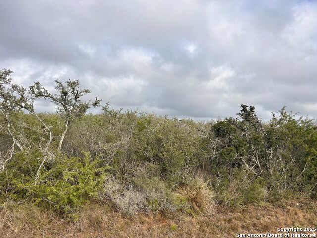 TBD Hackberry Dr, Beeville, Texas image 14