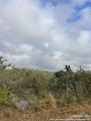 TBD Hackberry Dr, Beeville, Texas image 15