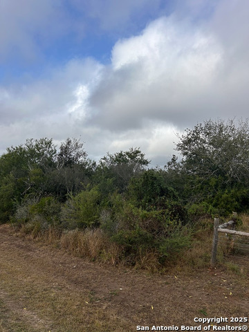 TBD Hackberry Dr, Beeville, Texas image 2
