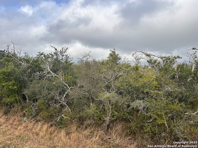TBD Hackberry Dr, Beeville, Texas image 3
