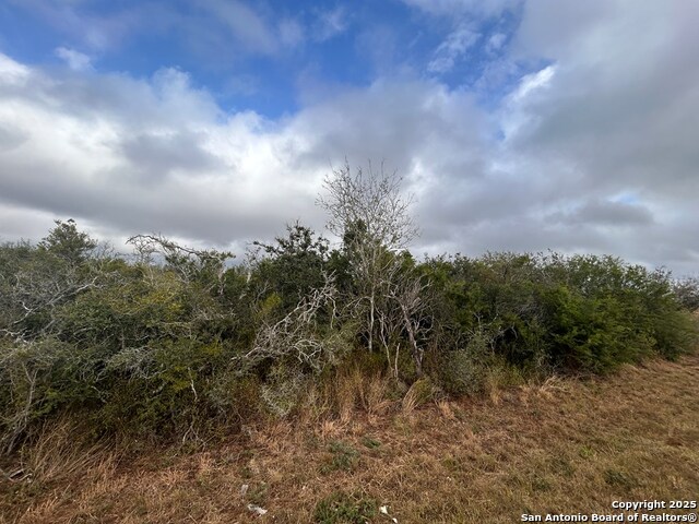 TBD Hackberry Dr, Beeville, Texas image 4