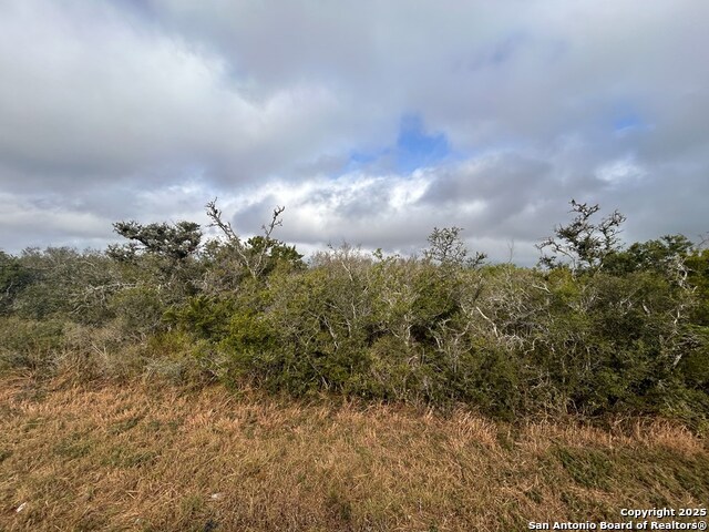 TBD Hackberry Dr, Beeville, Texas image 5
