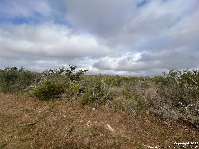 TBD Hackberry Dr, Beeville, Texas image 6