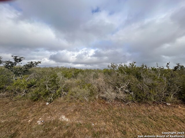 TBD Hackberry Dr, Beeville, Texas image 7