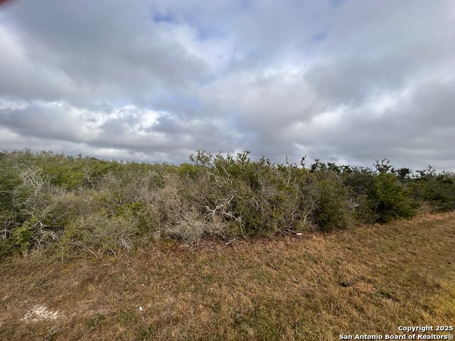 TBD Hackberry Dr, Beeville, Texas image 8