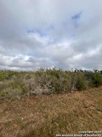 TBD Hackberry Dr, Beeville, Texas image 9