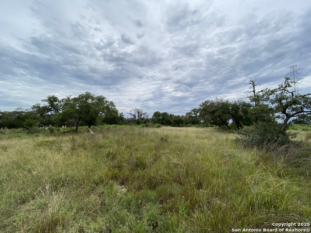 5 Kendall Jackson, Comfort, Texas image 5