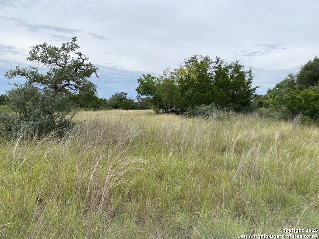 5 Kendall Jackson, Comfort, Texas image 8