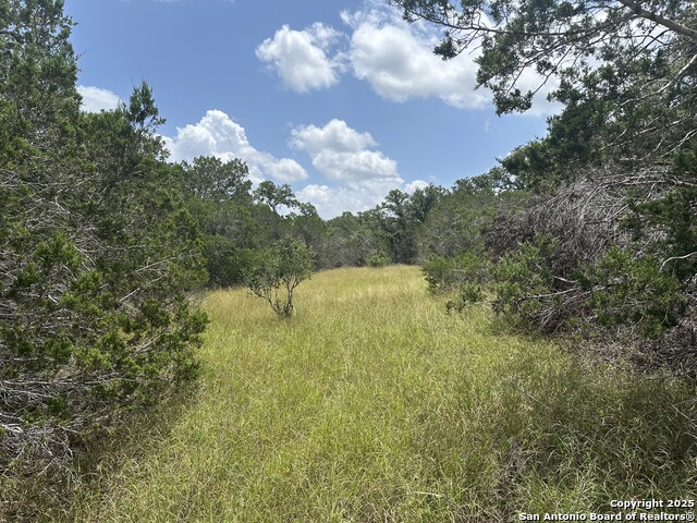 335 Serenity, Spring Branch, Texas image 1