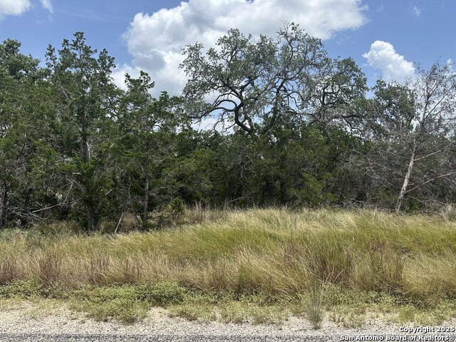 335 Serenity, Spring Branch, Texas image 2