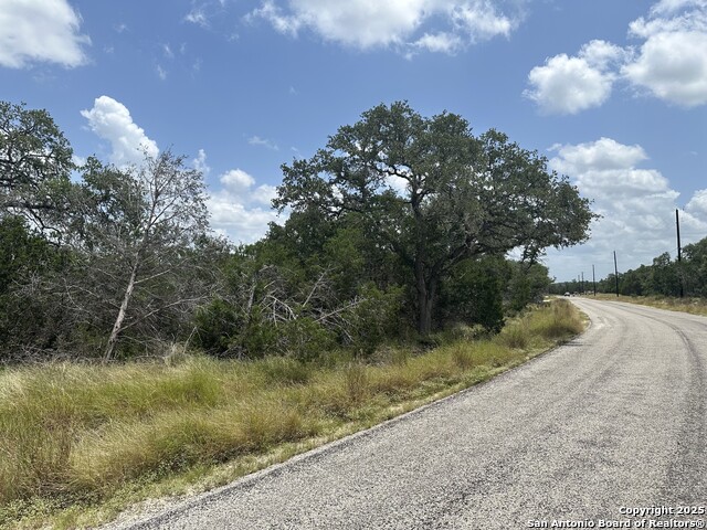 335 Serenity, Spring Branch, Texas image 3