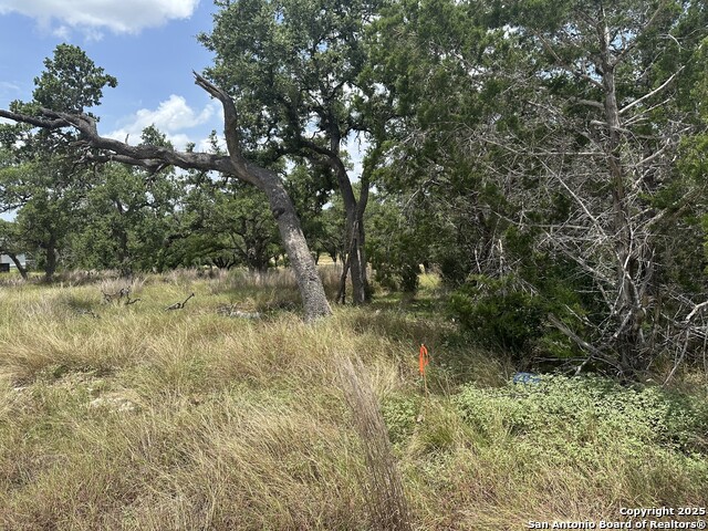 335 Serenity, Spring Branch, Texas image 4