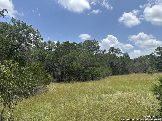 335 Serenity, Spring Branch, Texas image 5