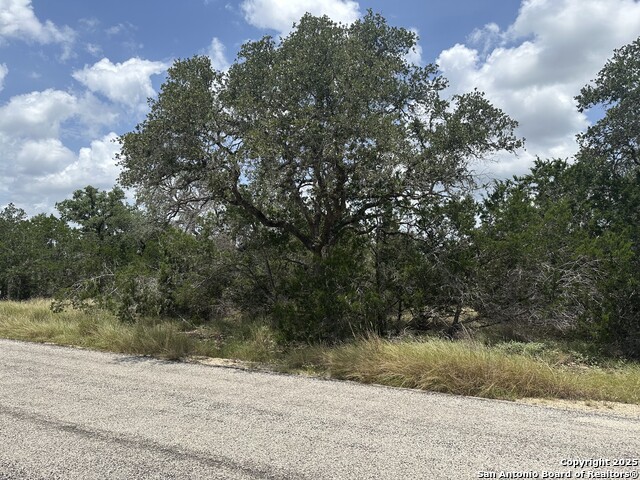 335 Serenity, Spring Branch, Texas image 6
