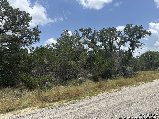 335 Serenity, Spring Branch, Texas image 7