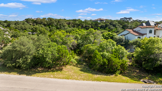 19511 Terra Mont, San Antonio, Texas image 7