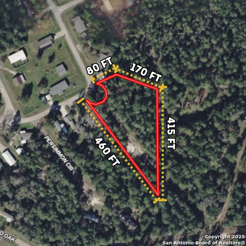 Persimmon Rd, Onalaska, Texas image 3