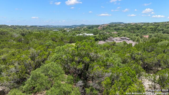 25506 Carrizo, Boerne, Texas image 4