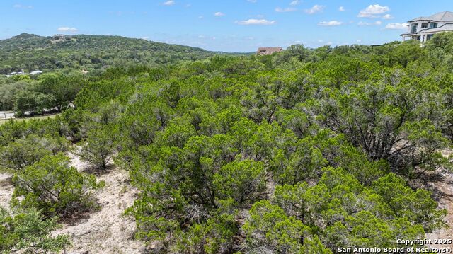 25506 Carrizo, Boerne, Texas image 6
