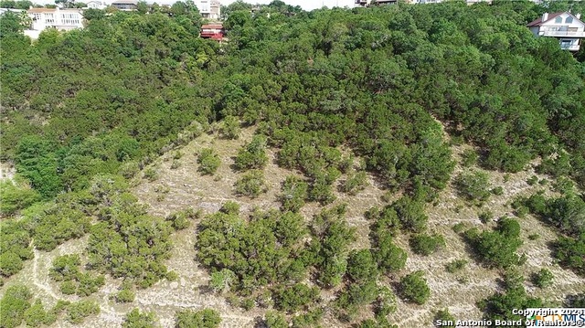 01663 Larson Dr, Canyon Lake, Texas image 16