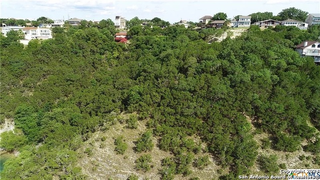 01663 Larson Dr, Canyon Lake, Texas image 17
