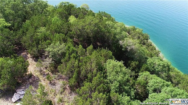 01663 Larson Dr, Canyon Lake, Texas image 19