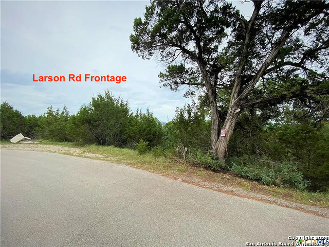 01663 Larson Dr, Canyon Lake, Texas image 8