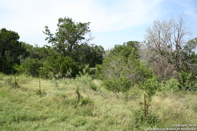 28028 Old Windmill Rd, New Braunfels, Texas image 1