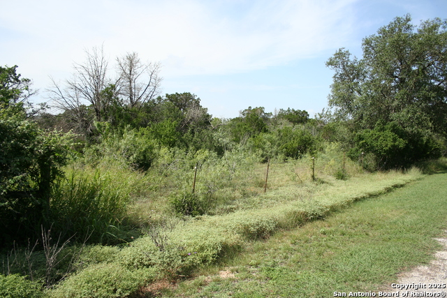28028 Old Windmill Rd, New Braunfels, Texas image 2