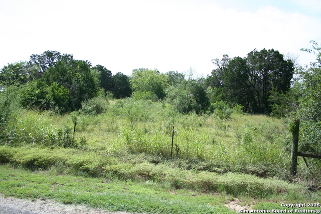 28028 Old Windmill Rd, New Braunfels, Texas image 5