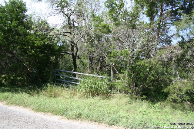 28028 Old Windmill Rd, New Braunfels, Texas image 8