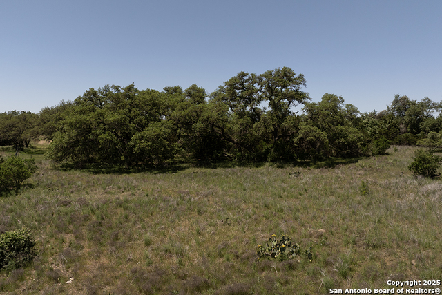 431 Oak Haven, Spring Branch, Texas image 11