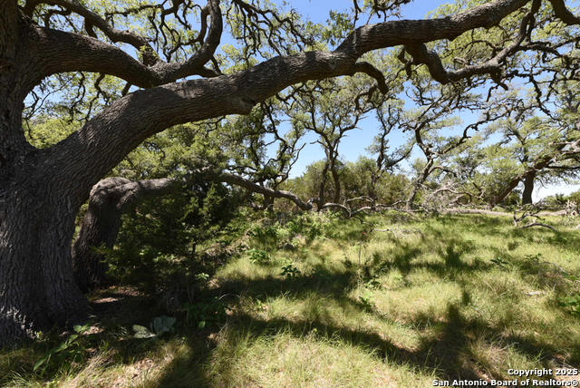 431 Oak Haven, Spring Branch, Texas image 12