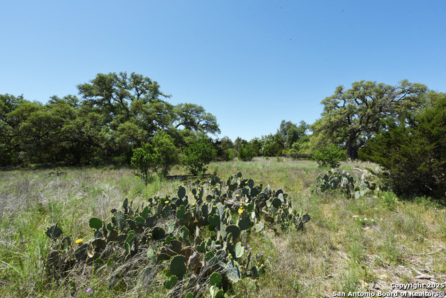431 Oak Haven, Spring Branch, Texas image 13