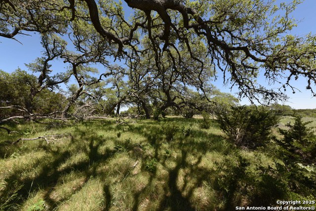 431 Oak Haven, Spring Branch, Texas image 14